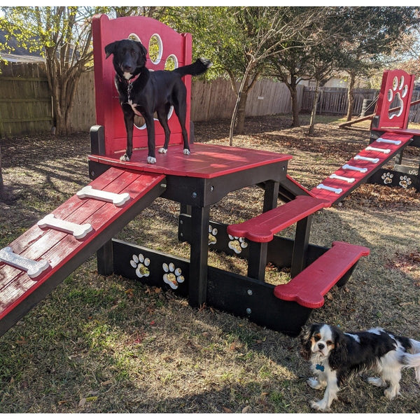 Puppy Scapes Double Ramp w/ Paw Print - PS-DRWPP