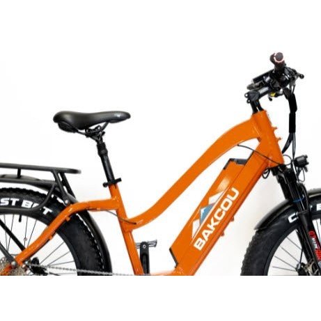 Performer 2024 Bakcou FLATLANDER ST 24" Step-Through 750W 48V Fat Tire Electric Bike