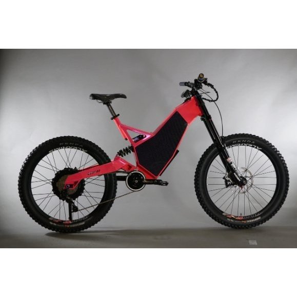 Performer 2024 HPC REVOLUTION Mountain Electric Bike