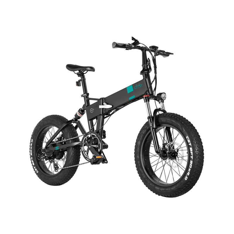 Fiido M21 48V/11.6Ah 500W Fat Tire Electric Bike with Torque Sensor