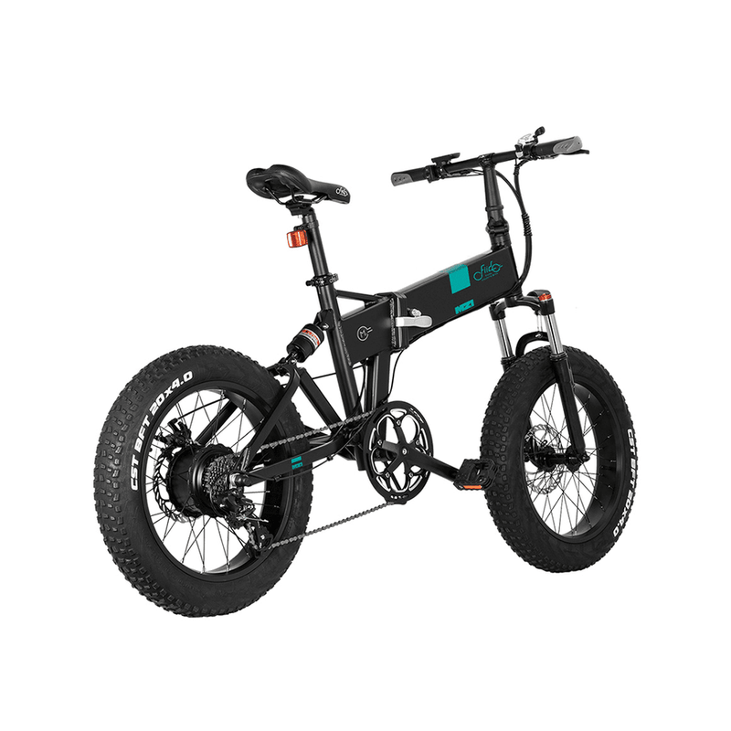 Fiido M21 48V/11.6Ah 500W Fat Tire Electric Bike with Torque Sensor