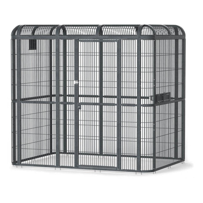 A&E 62"x62" Black Walk-in Aviary - WI6262 Black