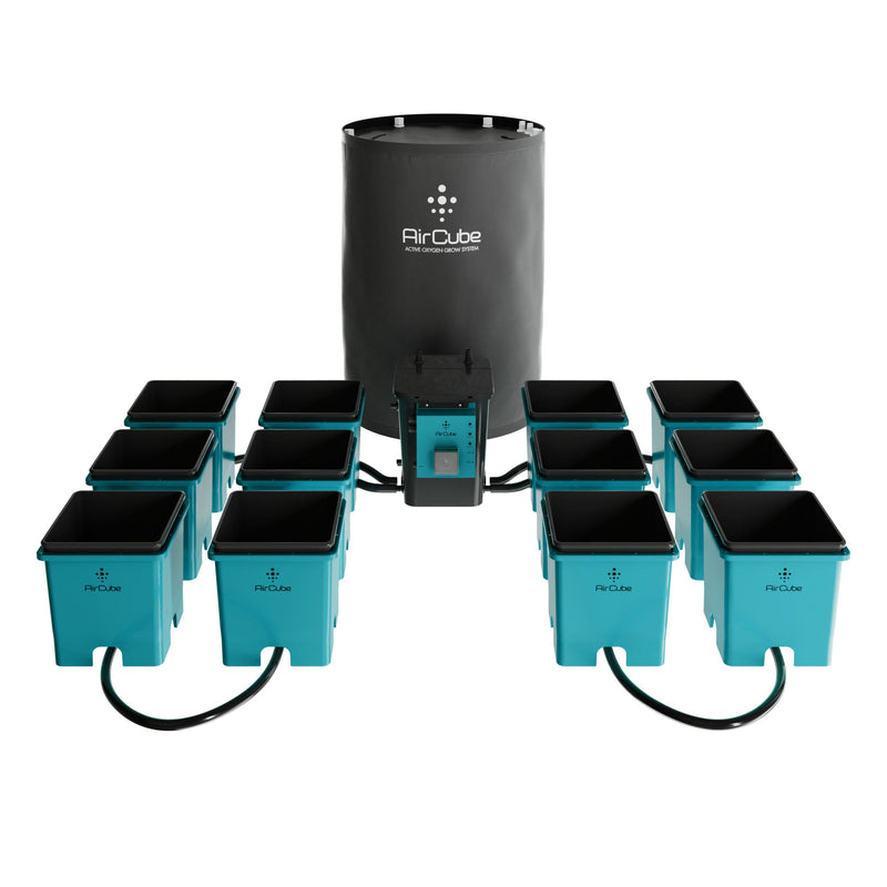 AirCube Active Oxygen Ebb & Flow Grow System - 12 Site - Backyard Provider