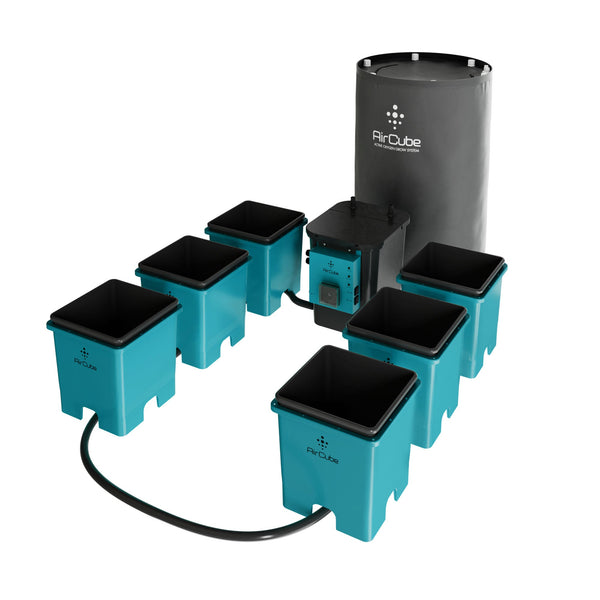 AirCube Active Oxygen Ebb and Flow Grow System - 6 Site - Backyard Provider