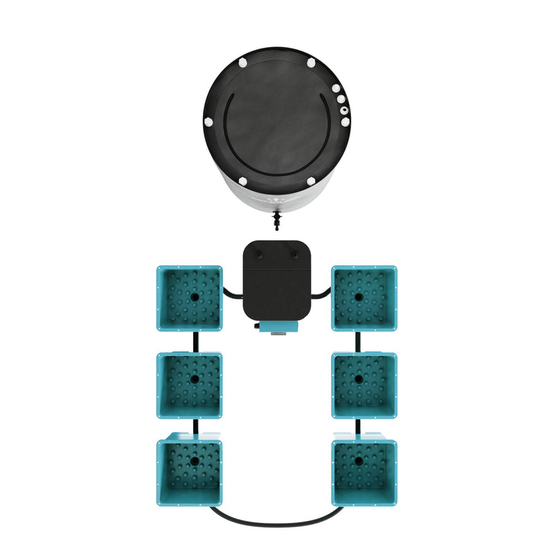 AirCube Active Oxygen Ebb and Flow Grow System - 6 Site - Backyard Provider