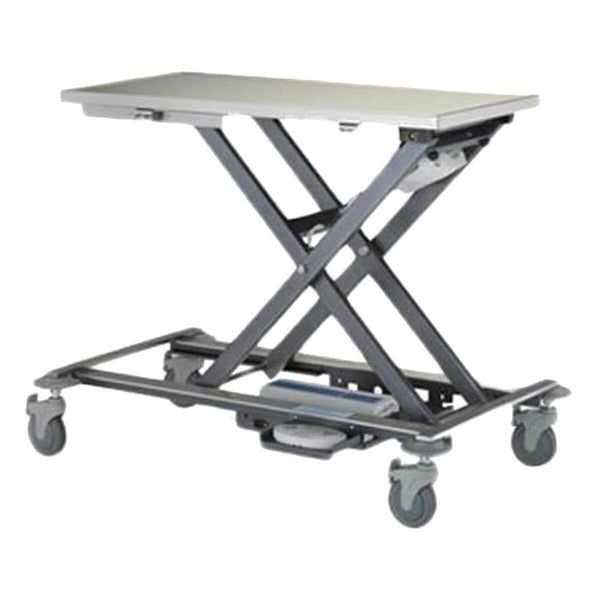 Avante Mobile Veterinary Animal Lift Table - 11041