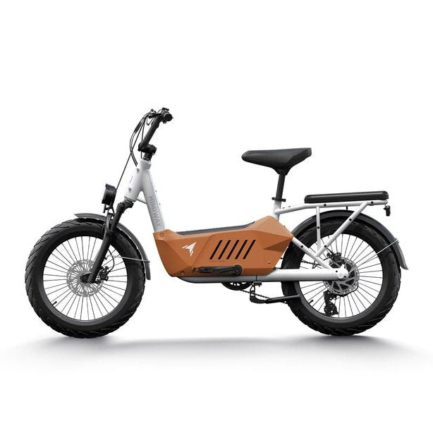 Himiway C3 | Cargo Ebike