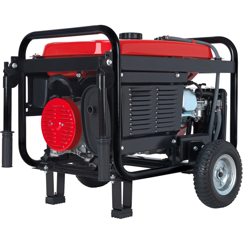 DuroStar 4,850-Watt Dual Fuel Generator w/ Electric Start - DS4850EH