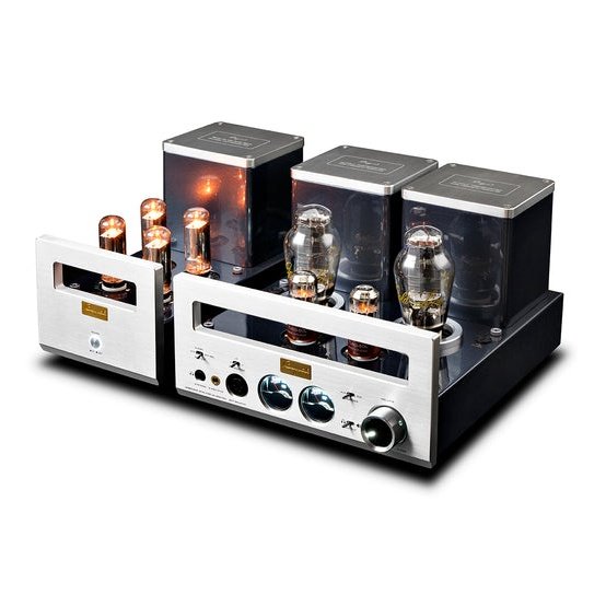 Cayin HA-300MK2 Vacuum Tube Headphone Amplifier - Backyard Provider