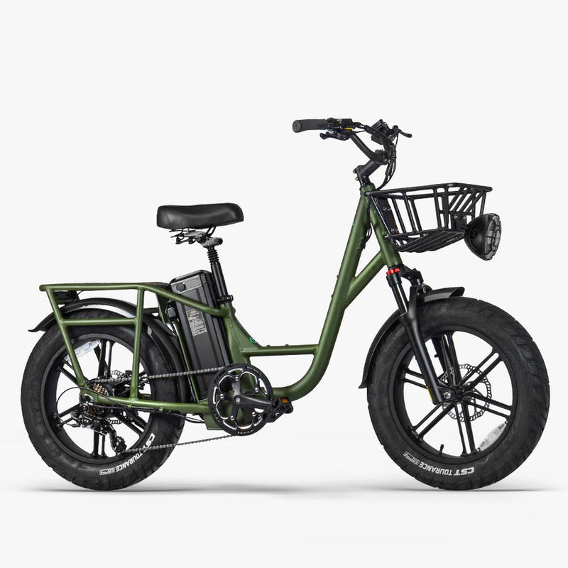 Fiido T1 Pro 48v/20ah 750w Electric Utility Bike