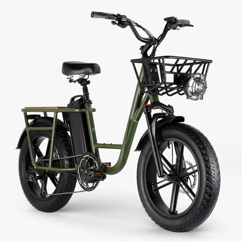 Fiido T1 Pro 48v/20ah 750w Electric Utility Bike