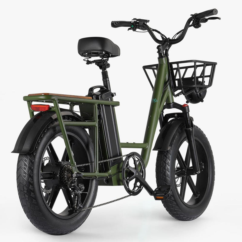 Fiido T1 Pro 48v/20ah 750w Electric Utility Bike