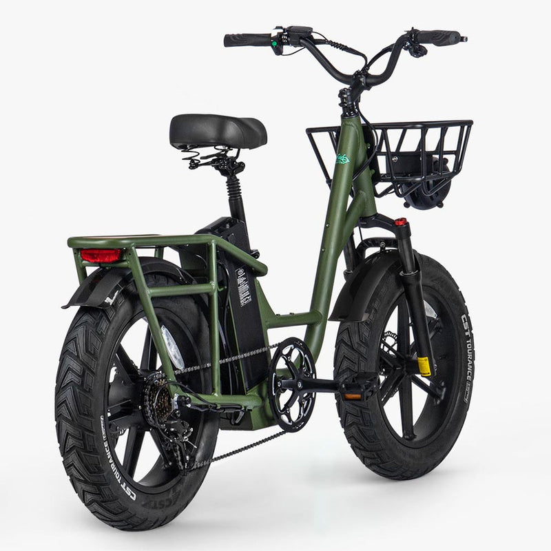 Fiido T1 Pro 48v/20ah 750w Electric Utility Bike