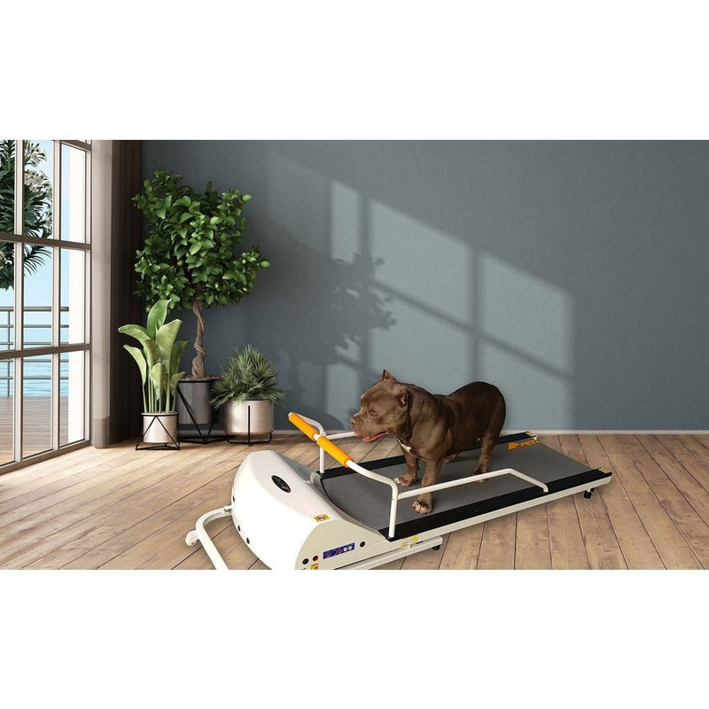 GoPet PetRun RP720F Treadmill For Dogs Up To 132 Lbs - PR720F