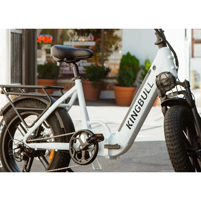 Performer 2024 KingBull LITERIDER 750W 48V Folding Fat Tire Electric Bike