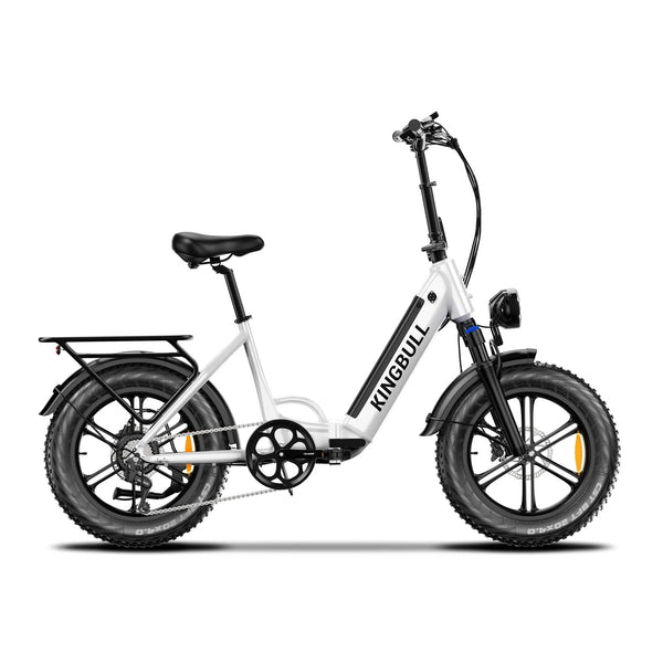 Performer 2024 KingBull LITERIDER 750W 48V Folding Fat Tire Electric Bike