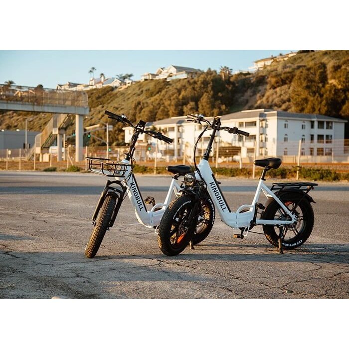 Performer 2024 KingBull LITERIDER 750W 48V Folding Fat Tire Electric Bike