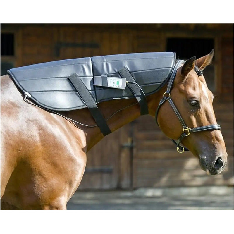 Oxford Medical Instruments OMI PEMF Full Equine Package: Blanket, Shoulder Band, Neck Wrap, Rear Leg Wrap, Front Leg Wrap