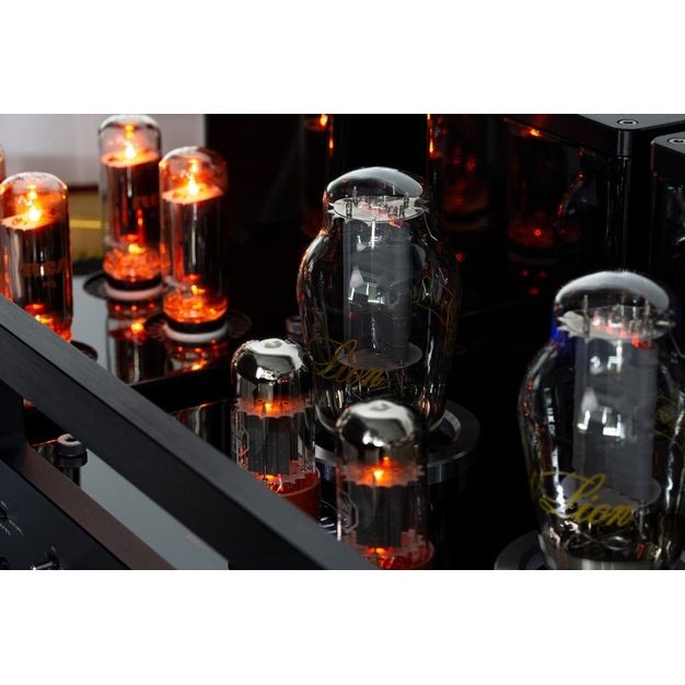 Cayin HA-300MK2 Vacuum Tube Headphone Amplifier - Backyard Provider