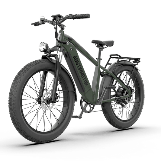 Aostirmotor KING 1000W 52V All-Terrain Fat Tire Electric Bike