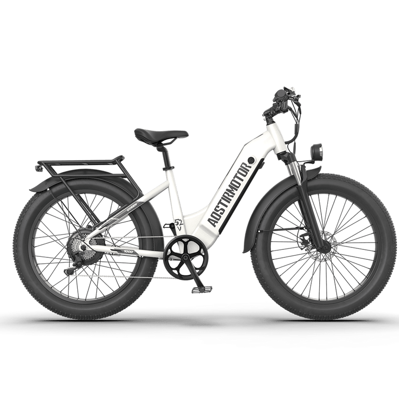 Aostirmotor QUEEN 1000W 52V All Terrain Step-Thru Fat Tire Electric Bike