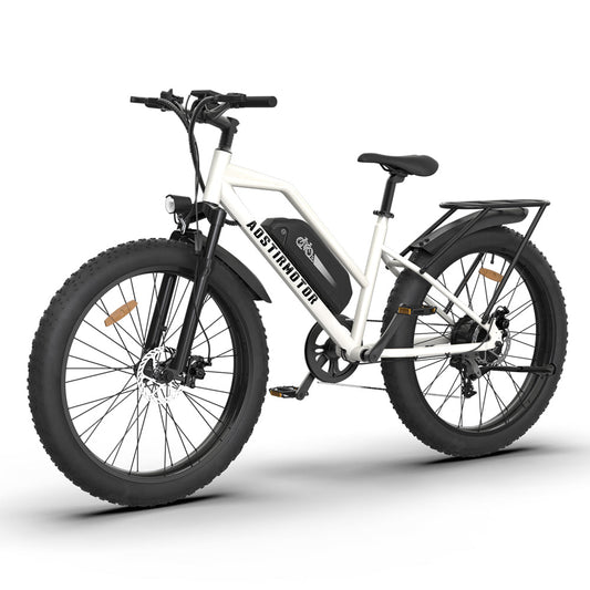 Aostirmotor S07-G 48V/13Ah 750W Electric Commuter Bike