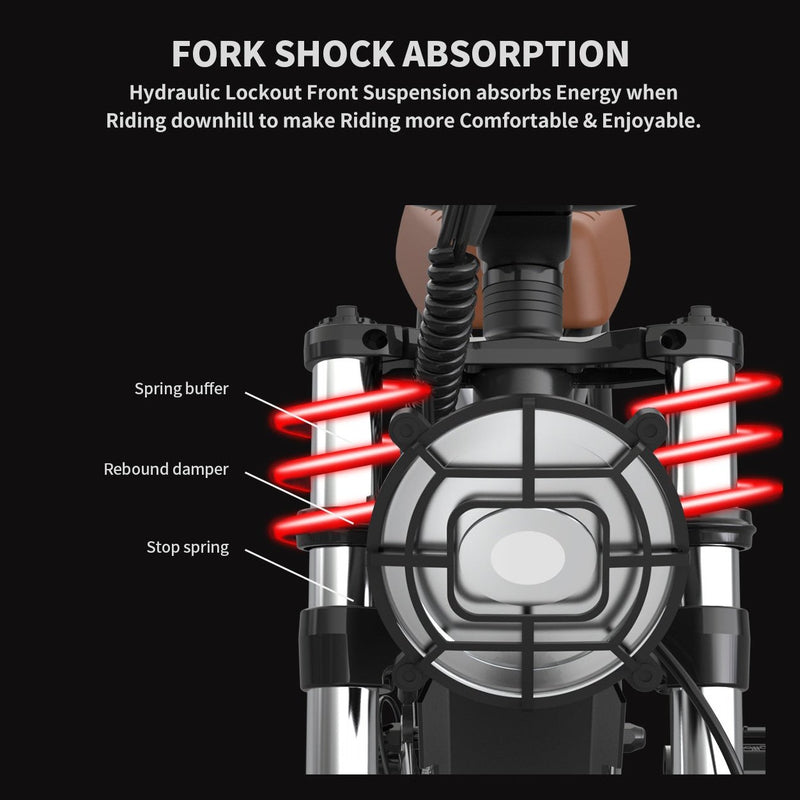 Aostirmotor Storm 750W 48V Fat Tire Electric Bike