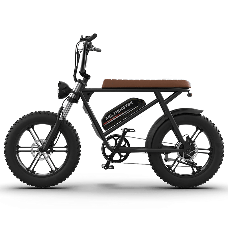 Aostirmotor Storm 750W 48V Fat Tire Electric Bike