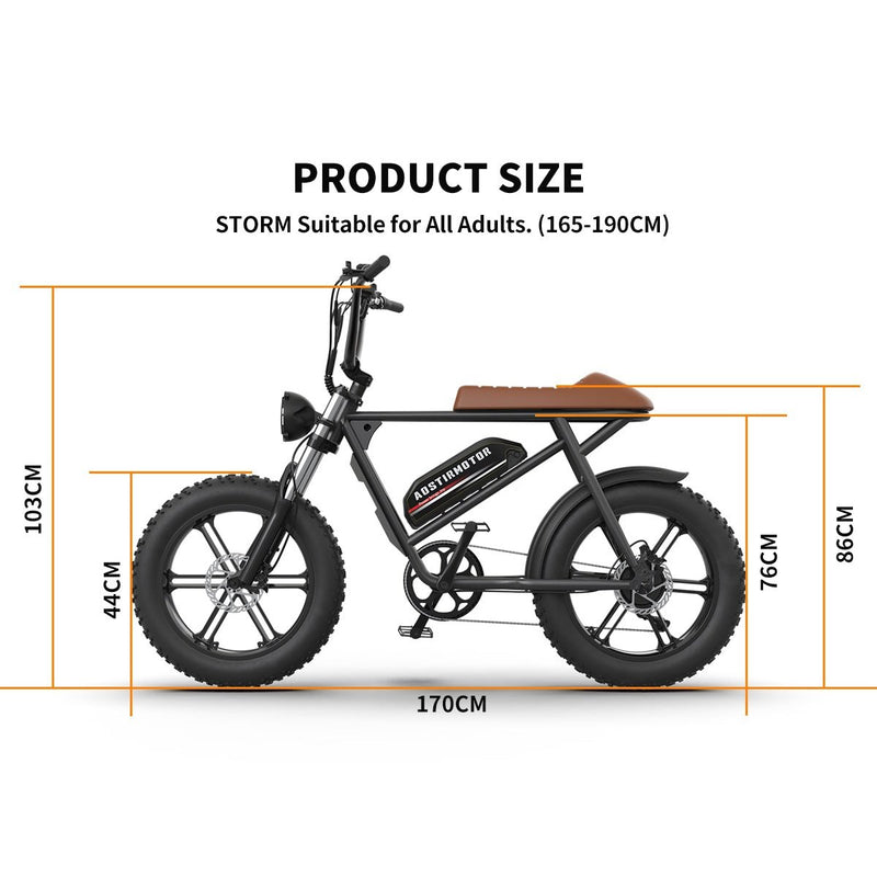 Aostirmotor Storm 750W 48V Fat Tire Electric Bike