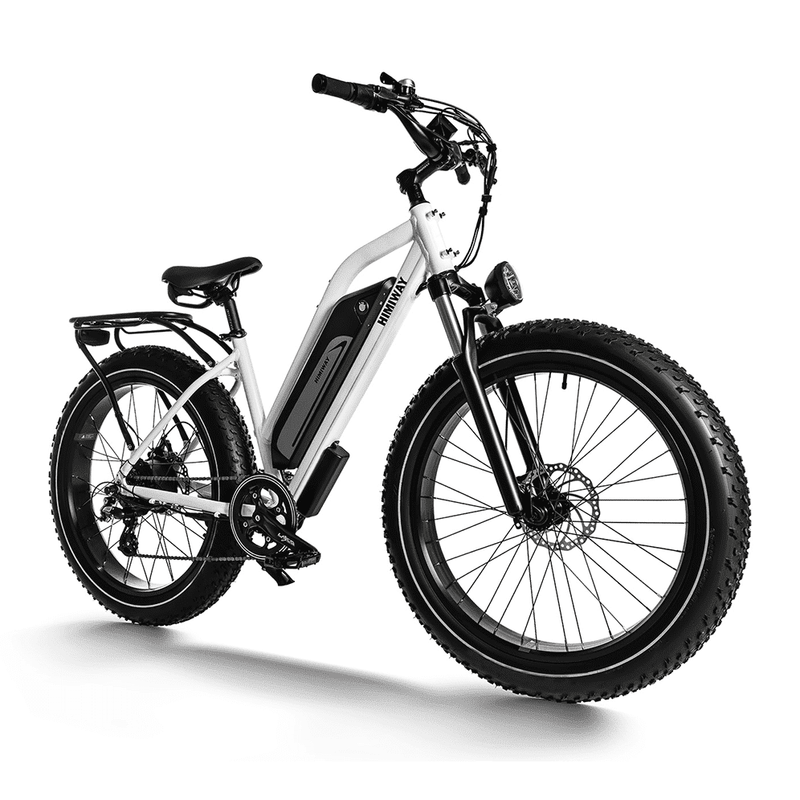 Himiway D3 ST Cruiser ST | D3 ST | All Terrain Step Thru Electric Bike - HIMST/D3ST