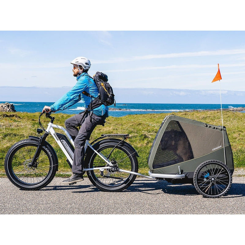 Himiway D3 ST Cruiser ST | D3 ST | All Terrain Step Thru Electric Bike - HIMST/D3ST