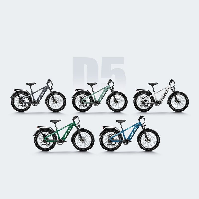 Himiway D5 Zebra | Premium All-terrain Electric Fat Bike