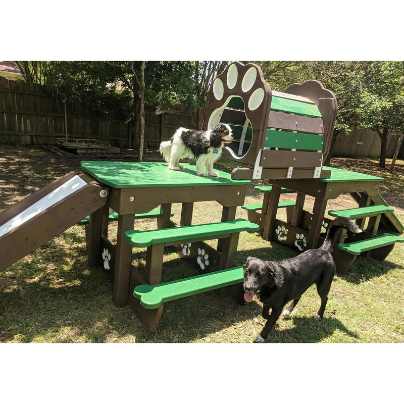 Puppy Scapes Double Platform elevated with Tunnel - PS-DPEWT