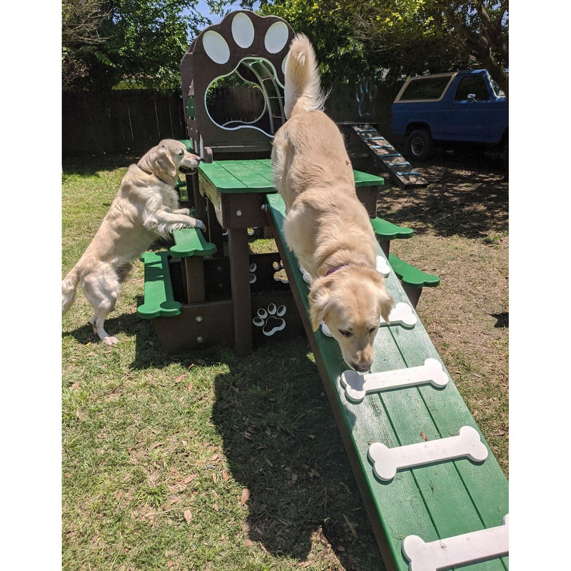 Puppy Scapes Double Platform elevated with Tunnel - PS-DPEWT