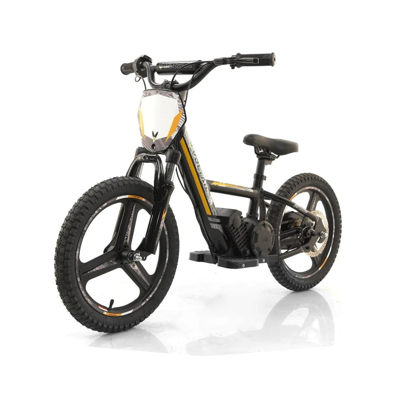 Performer Voltaic 16'' VOLTAIC LION PRO 350W 24V Kids Electric Balance Bike, VKD-16PRO