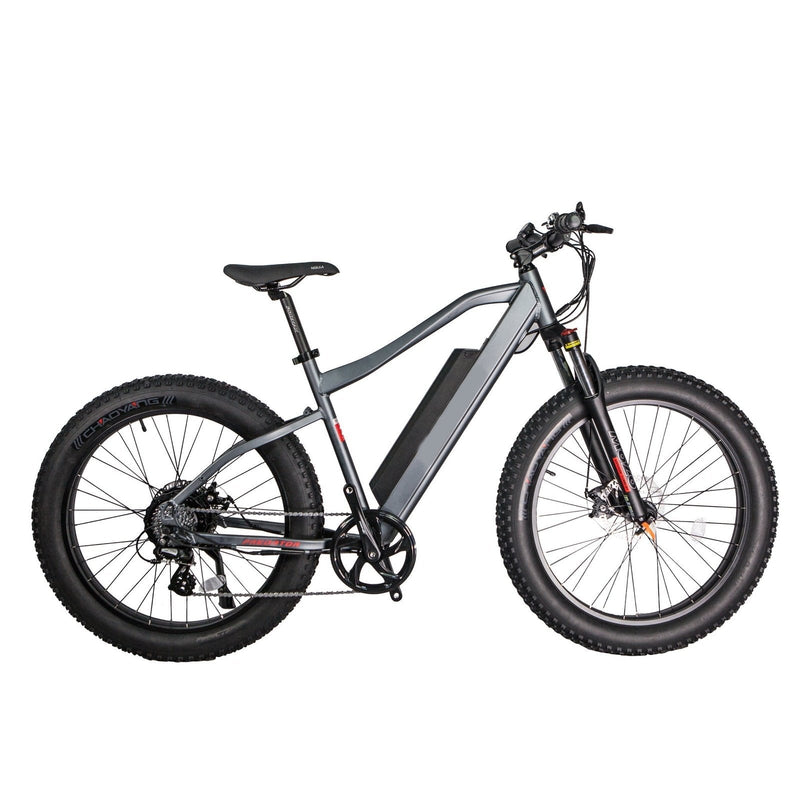 GlareWheel EB-PR 48V/13Ah 500W Fat Tire Electric Mountain Bicycle EB-PR