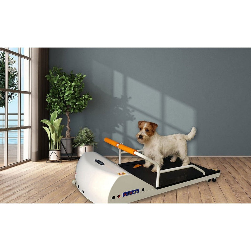 GoPet PetRun RP700 Treadmill For Small Dogs Up To 44 Lbs - PR700