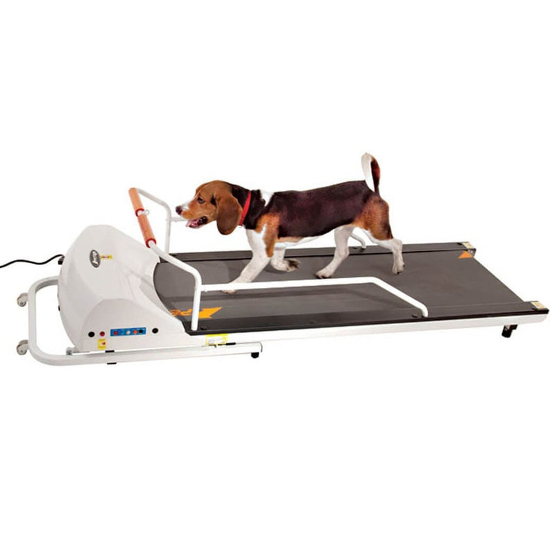 GoPet PetRun RP720F Treadmill For Dogs Up To 132 Lbs - PR720F