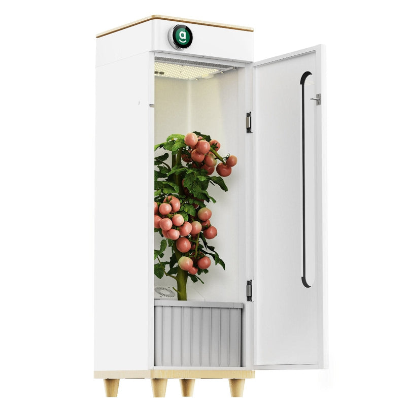 Hey abby Hydroponic Indoor Grow Box OG Edition - B1001101