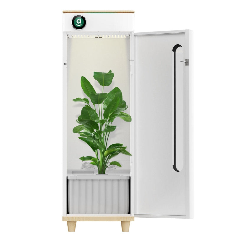 Hey abby Hydroponic Indoor Grow Box OG Edition - B1001101