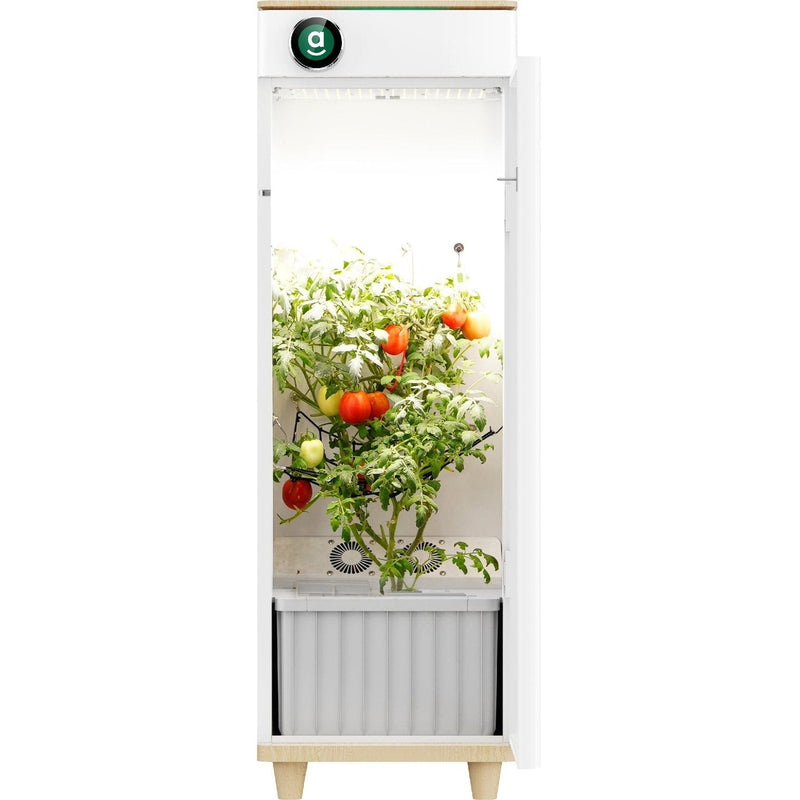 Hey abby Hydroponic Indoor Grow Box OG Edition - B1001101