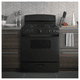 Hotpoint 30-in 4 Burners 4.8-cu ft Freestanding Natural Gas Range Black - RGBS330DRBB