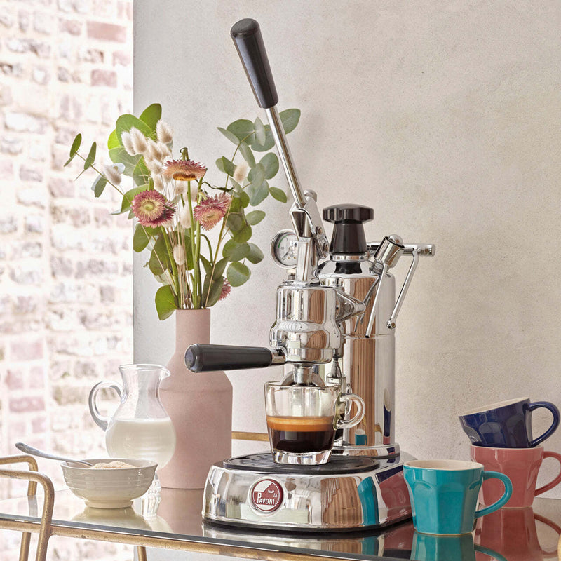 La Pavoni Professional Espresso and Cappuccino Machine (PC-16)