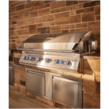 Napoleon Built-In 700 Series 44" with Dual Infrared Rear Burners Propane Stainless Steel