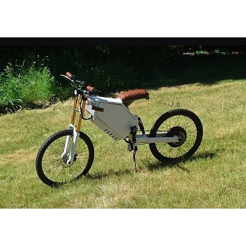 Performer Okapi 1000W 48V Starter Edition Long Range High Performance Electric Bike