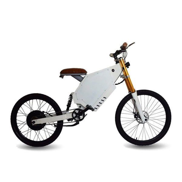 Performer Okapi 1000W 48V Starter Edition Long Range High Performance Electric Bike