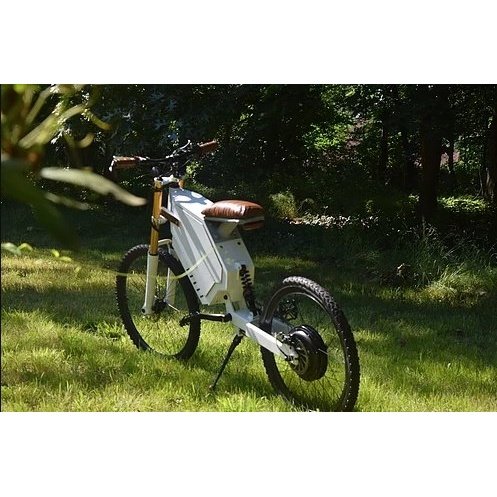 Performer Okapi 1000W 48V Starter Edition Long Range High Performance Electric Bike