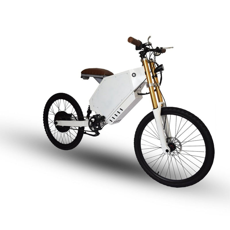 Performer Okapi 1000W 48V Starter Edition Long Range High Performance Electric Bike