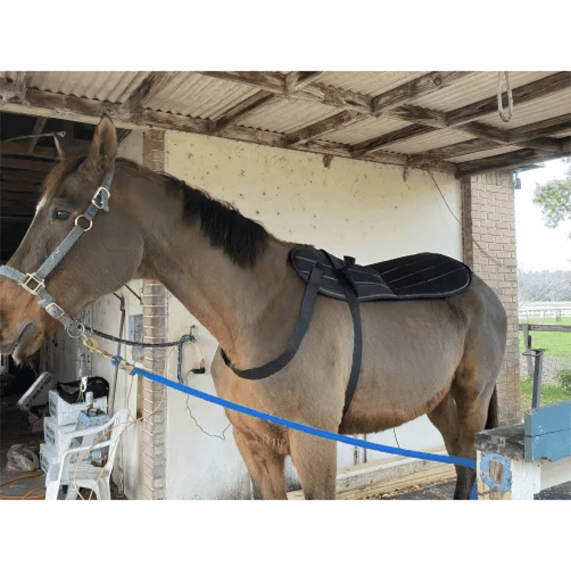 Oxford Medical Instruments OMI PEMF Full Equine Package: Blanket, Shoulder Band, Neck Wrap, Rear Leg Wrap, Front Leg Wrap