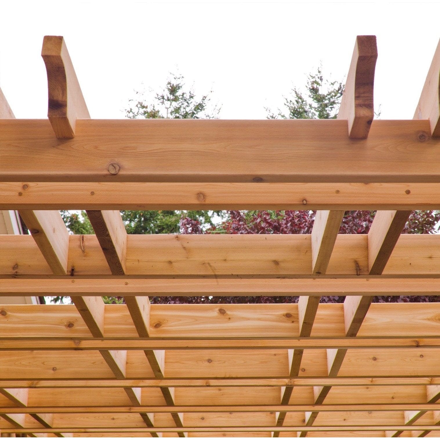 Outdoor Living Today Cedar Pergolas | 12×12 - BZ1212